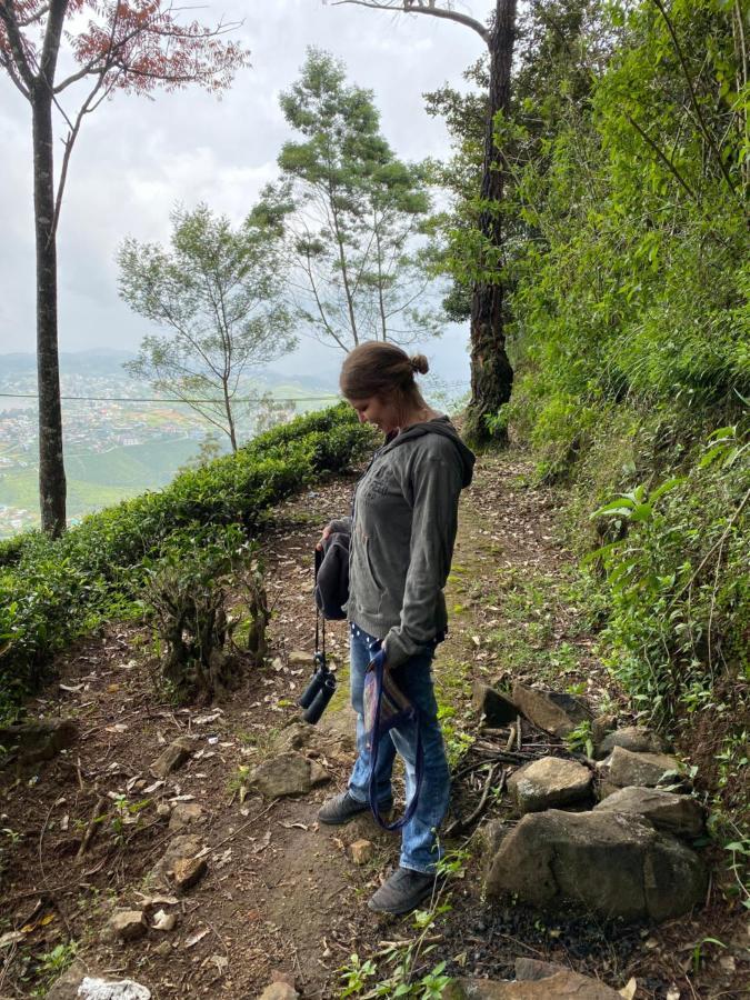 W15 Lake Gregory Nuwara Eliya Kültér fotó